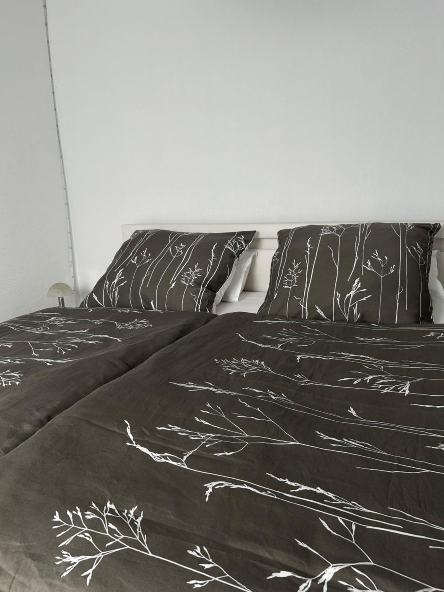 Ferienwohnung Zur Wildkatze 哈伦贝格 外观 照片