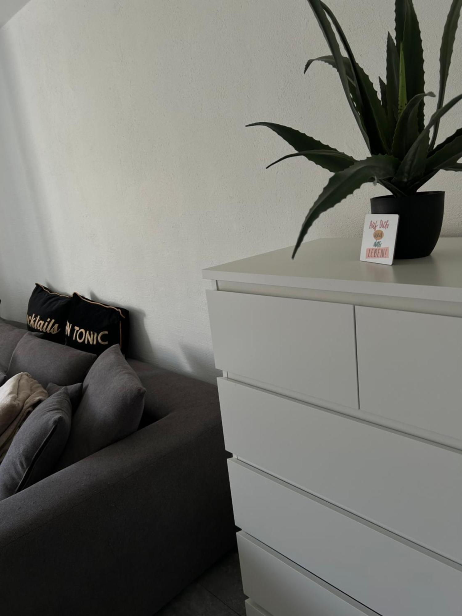 Ferienwohnung Zur Wildkatze 哈伦贝格 外观 照片